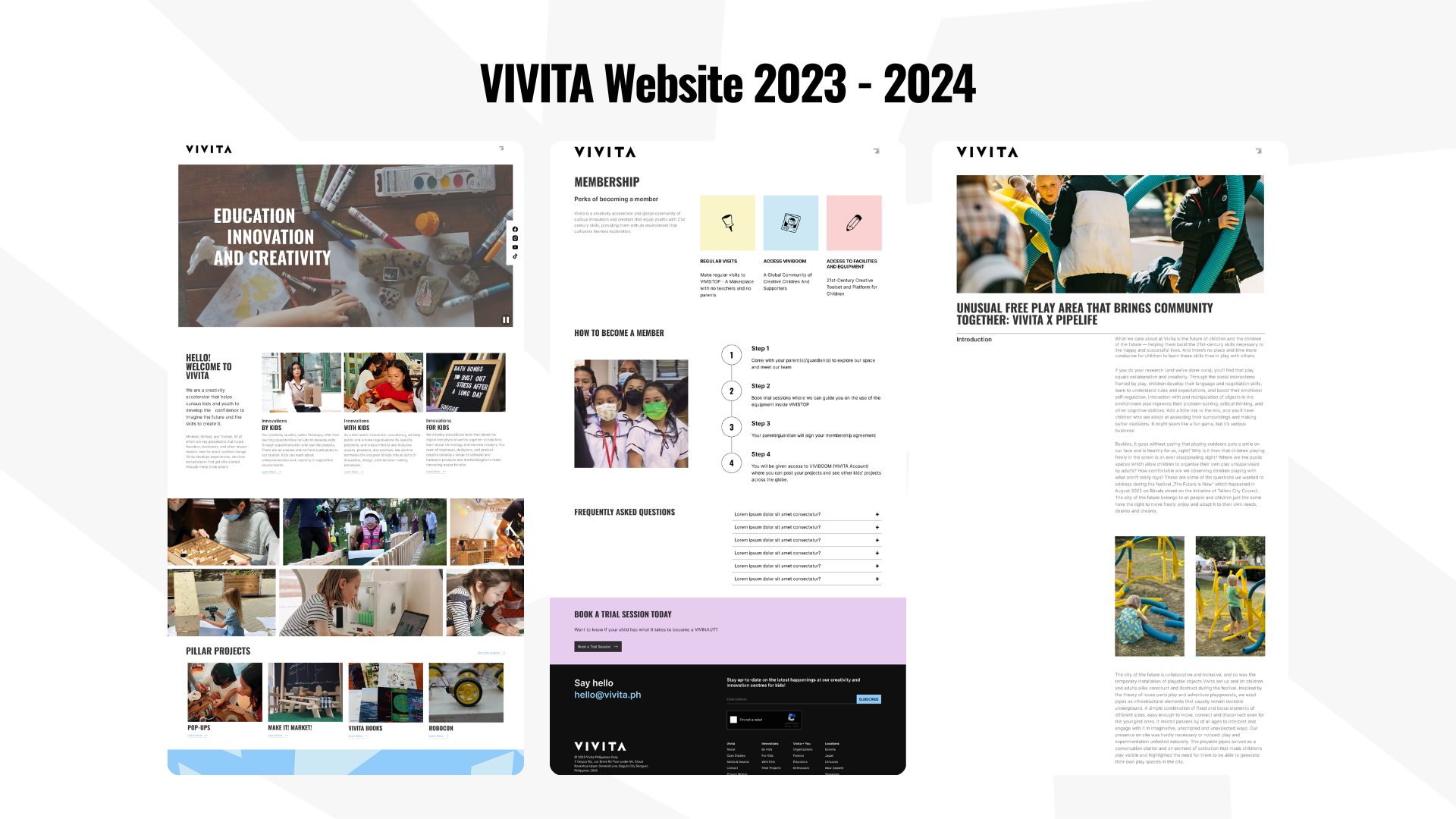 Vivita Philippines Website gallery image 3 of 4